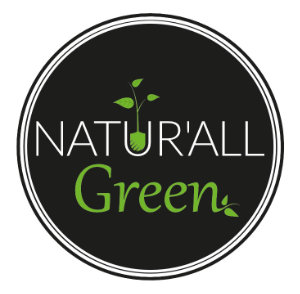  Création Logo natura green