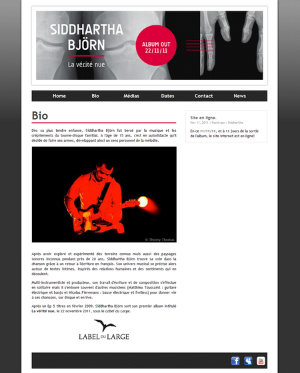 Webdesign Siddartha